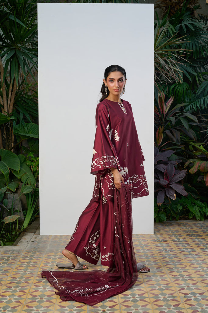 Party Wear Dresses Pakistan: Elegance Meets Style