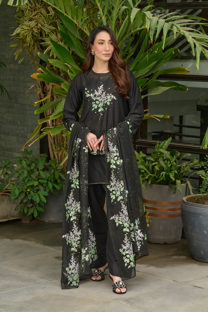 Pakistani Clothing Brands – A Modern Woman’s Guide to Quality Fashion in 2025