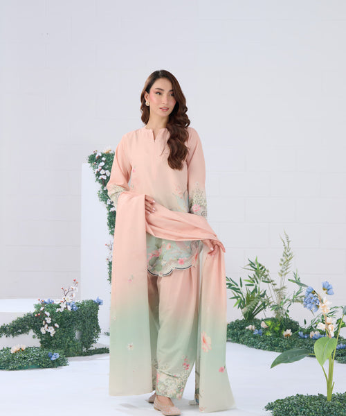 Blush Ombre  2- Piece
